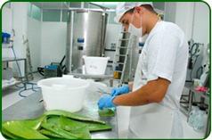 aloe vera finca gran canaria lab