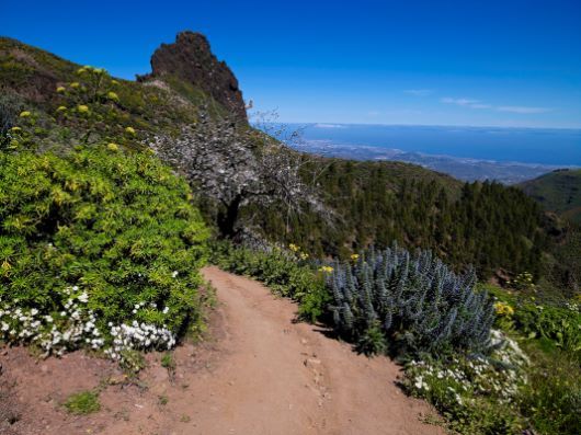 Vandretur rute 1 Los Marteles Caldera - Rincón de Tenteniguada via El Salviar Gran Canaria