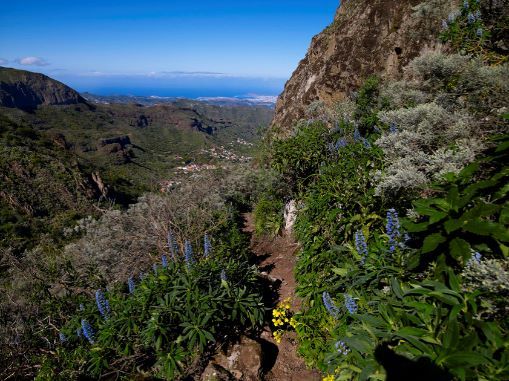 Vandretur rute 3 Presa de Cuevas Blancas - Rincón de Tenteniguada por el barranco de La Pasadera, Rutas del Tajinaste Azul