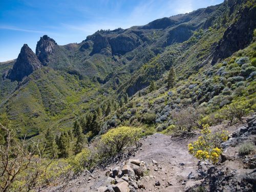 Vandretur rute 4 Presa de Cuevas Blancas - Rincón de Tenteniguada via el Roque Jincao, Rutas del Tajinaste Azul