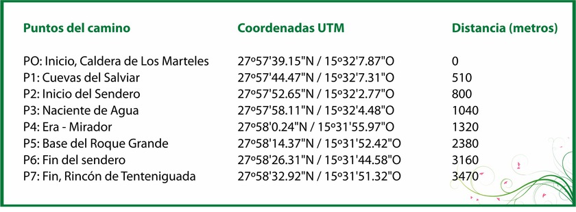 skema1