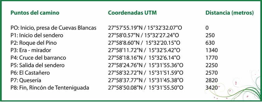 skema3