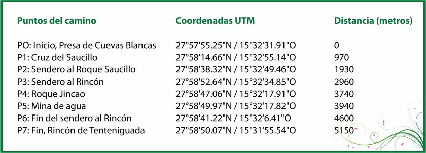 skema4