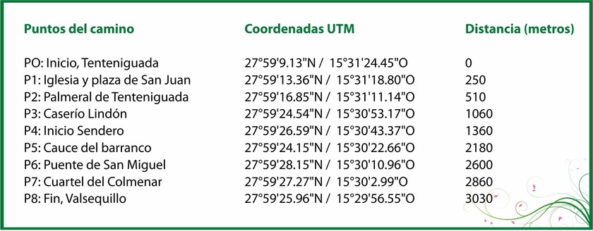 skema5