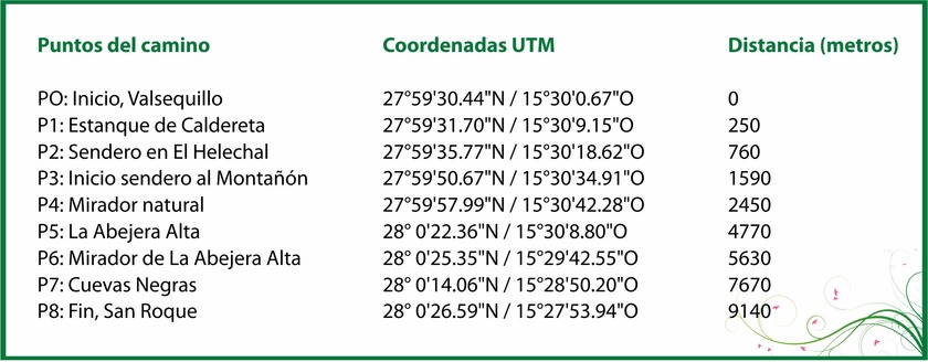 skema7