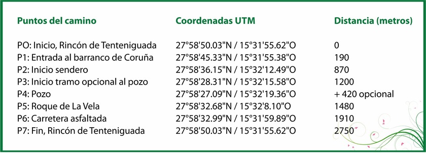 skema8