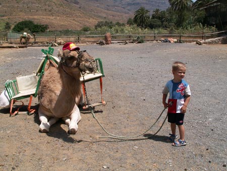 Gran Canaria-Kamelsafari