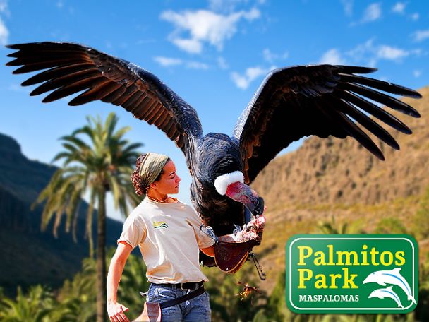 Palmitos Park 20