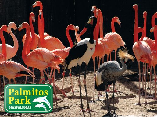 Palmitos Park 30